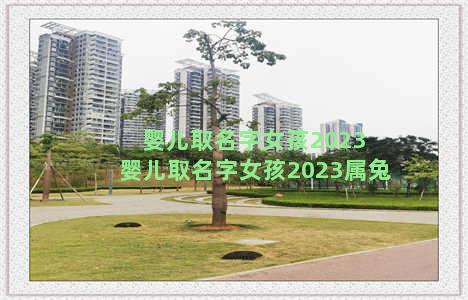 婴儿取名字女孩2023 婴儿取名字女孩2023属兔